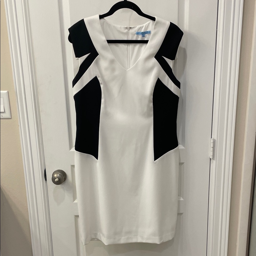 ANTONIO MELANI Contrast Panel Mini Dress